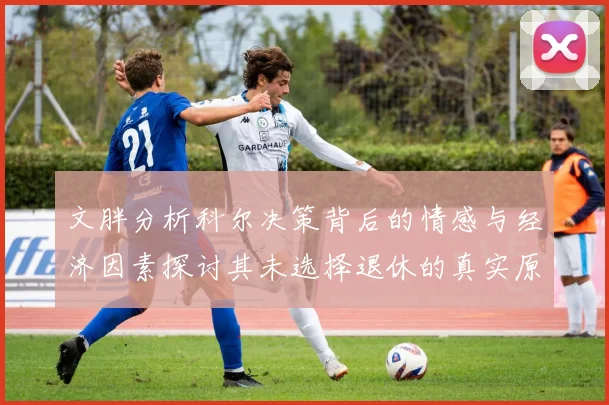 文胖分析科尔决策背后的情感与经济因素探讨其未选择退休的真实原因