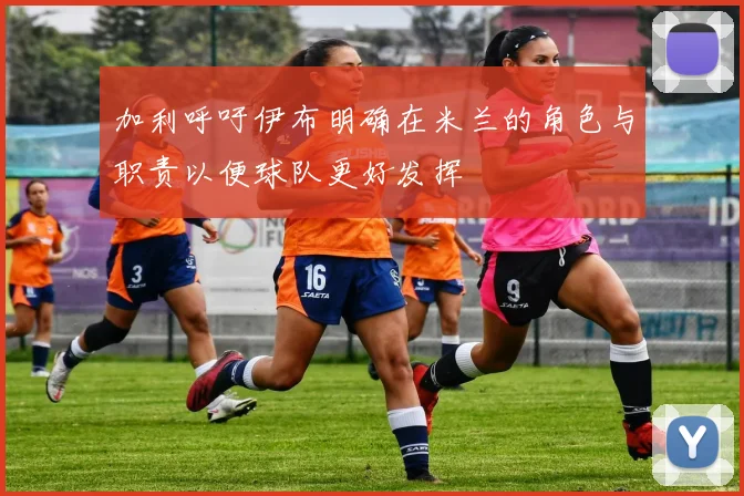 加利呼吁伊布明确在米兰的角色与职责以便球队更好发挥